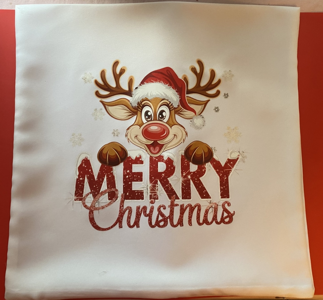 Housse de coussin